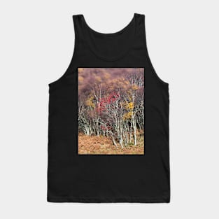 Highland Breeze Tank Top